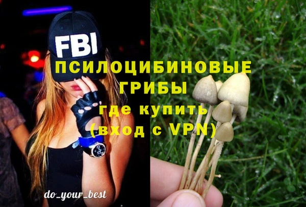 spice Алзамай