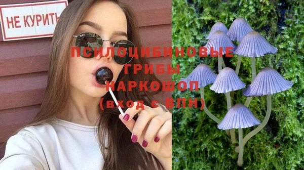 прущая мука Алексин