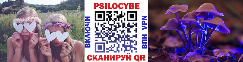 Галлюциногенные грибы Psilocybine cubensis  ОМГ ОМГ ссылки  Камышин 