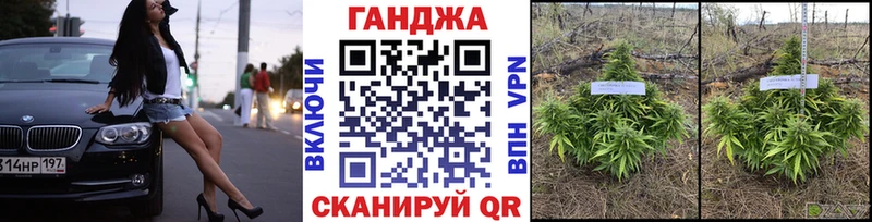 Канабис MAZAR  Камышин 